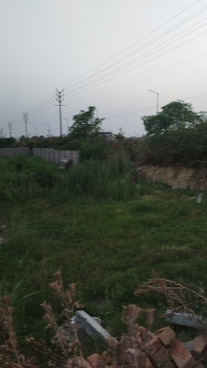 Plot Area in  Plot at Raj Nagar Extension – for Sale