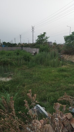 Plot Area in  Plot at Raj Nagar Extension – for Sale