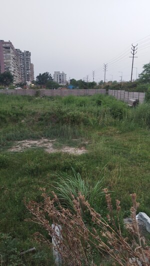 Plot Area in  Plot at Raj Nagar Extension – for Sale