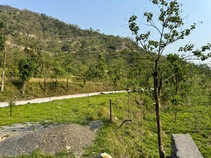 Plot Area in  Plot at Sahastradhara Road – for Sale