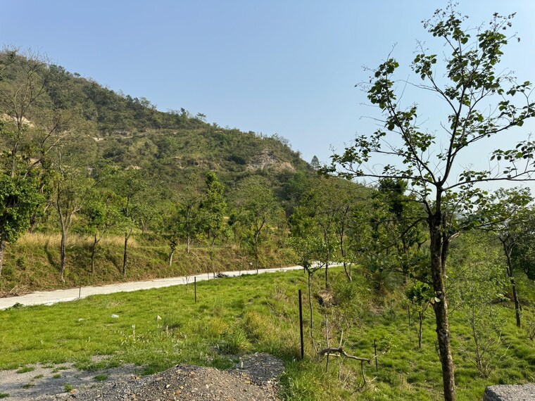 undefined, sahastradhara road  500 Sq.Yd. Plot In Sahastradhara Road Dehradun 8677770