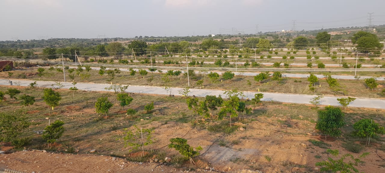 Plot For Sale in Kadthal