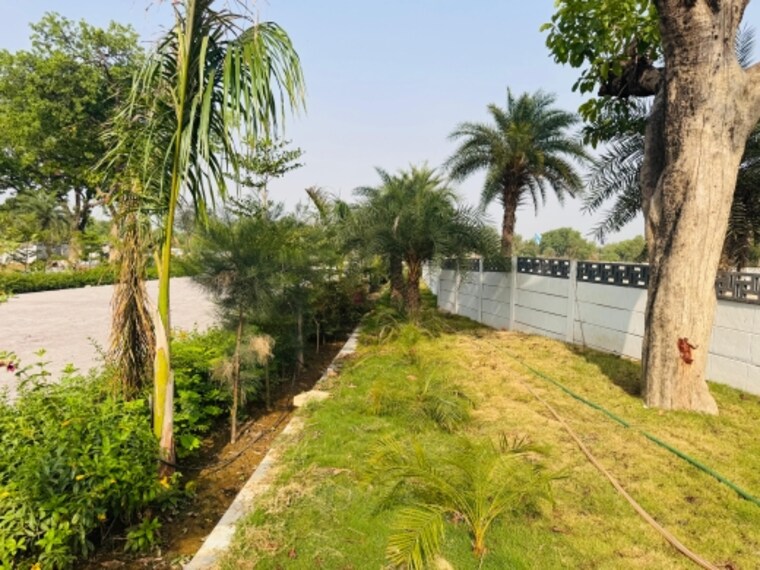 Garden, raebareli road  1000 Sq.Ft. Plot In Raebareli Road Lucknow 8678668