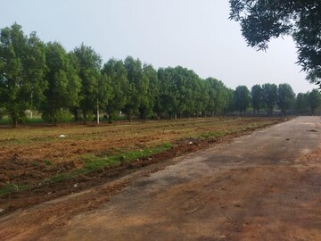 Plot Area in  Plot at Kothavalasa – for Sale