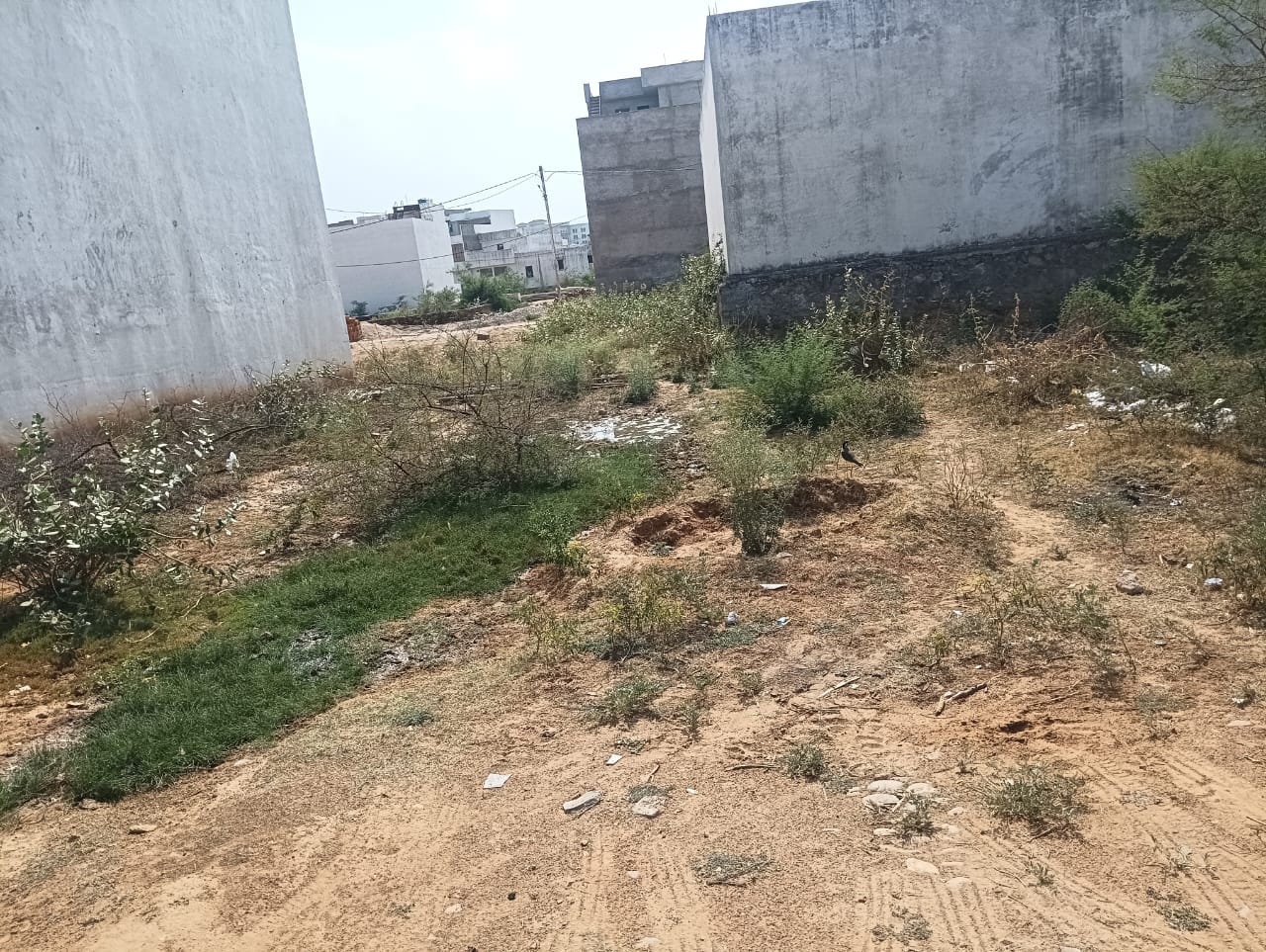 Plot For Sale in Jagatpura