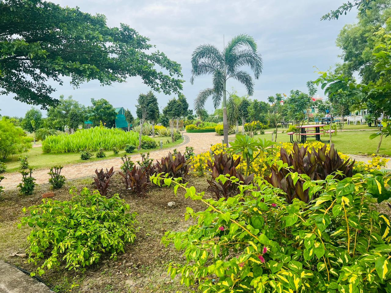 Plot For Sale in Developed Farmhouse Plot 