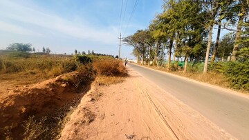  Plot For Sale in Devanahalli