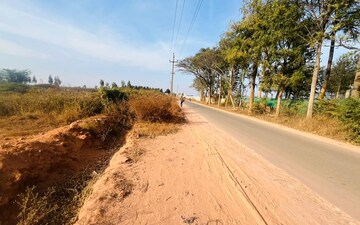 Plot For Sale in Devanahalli