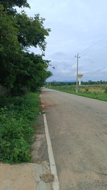  Plot For Sale in Sarjapur