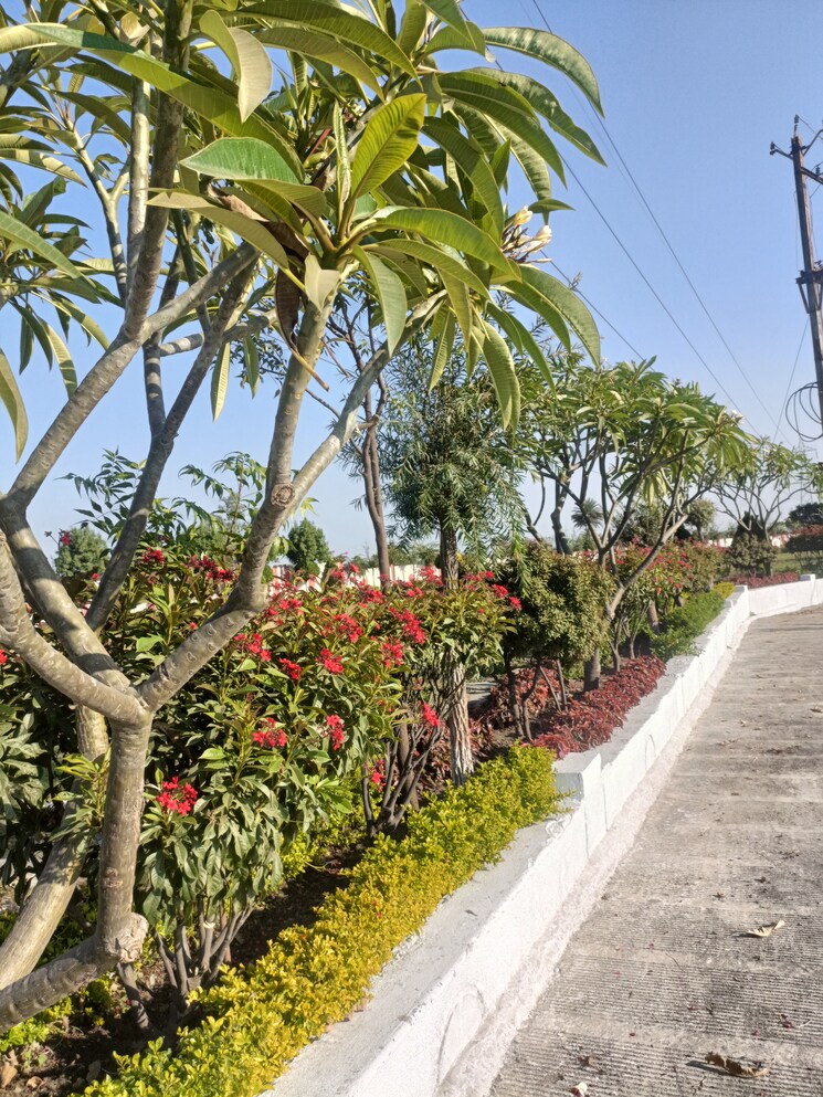 Exterior View, ringnodiya  1000 Sq.Ft. Plot In Ringnodiya Indore 8679832