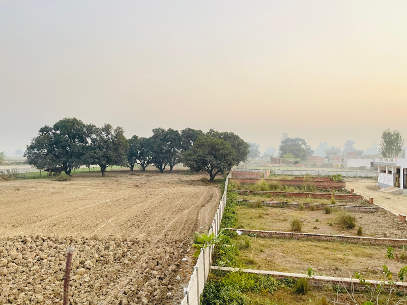 Plot For Sale in Rishita Mulberry Heights