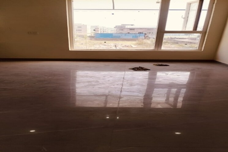 Room, sector 39 5 Bedroom 176 Sq.Mt. Independent House In Sector 39 Noida 8680038