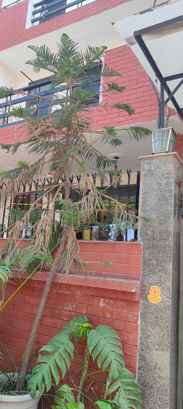 Exterior View, rwa-apartments-sector-61 6+ Bedroom 162 Sq.Mt. Independent House In Sector 61 Noida 8680230