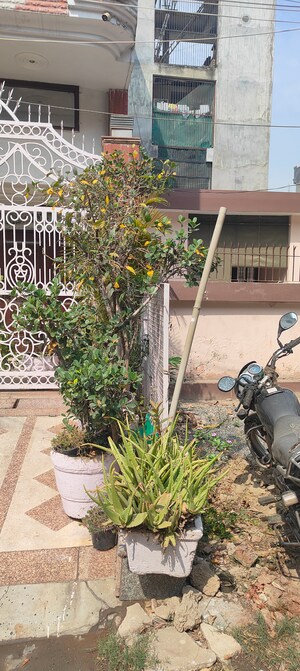 6+ BHK Independent House – Exterior View View at RWA Apartments Sector 30, Sector 30 - for Sale