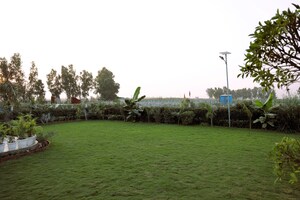 Plot Area in  Plot at SS Sainik Farms, Sector 150 – for Sale