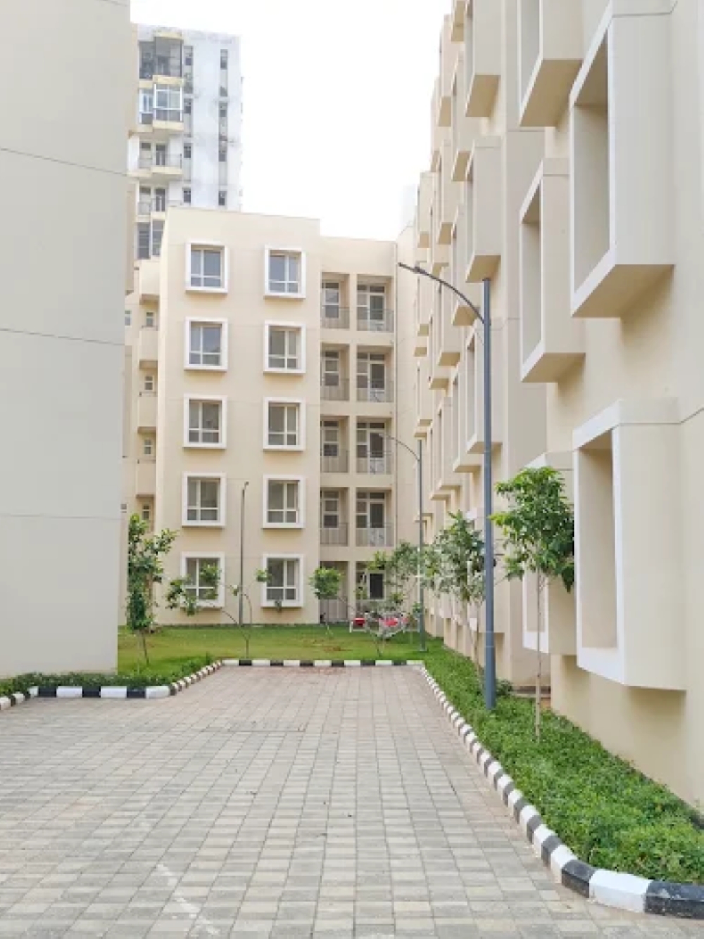 2 BHK Apartment For Rent in Ashadeep Rudraksh