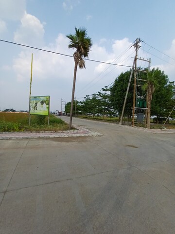  Plot – Exterior View View at Ringnodiya - for Sale