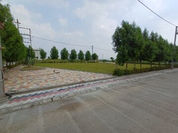 Plot Area in  Plot at Ringnodiya – for Sale