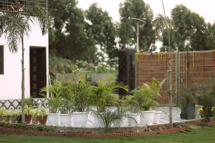 Garden, sawera-country-farms  1000 Sq.Yd. Plot In Sector 150 Noida 8680826