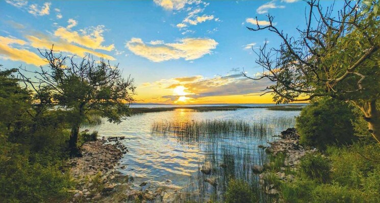 Swimming Pool, godrej-lakeside-orchard 2 Bedroom 1270 Sq.Ft. Apartment In Sarjapur Road Bangalore 8681694