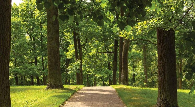 Garden, godrej-lakeside-orchard 3 Bedroom 1790 Sq.Ft. Apartment In Sarjapur Road Bangalore 8681714