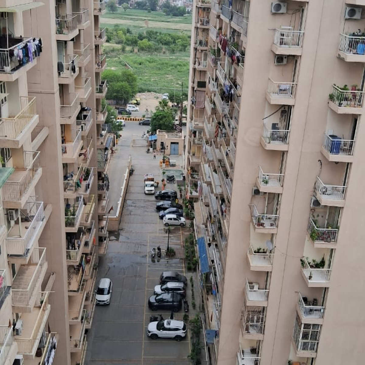 3 BHK Apartment For Rent in Mittal Rajnagar Residency