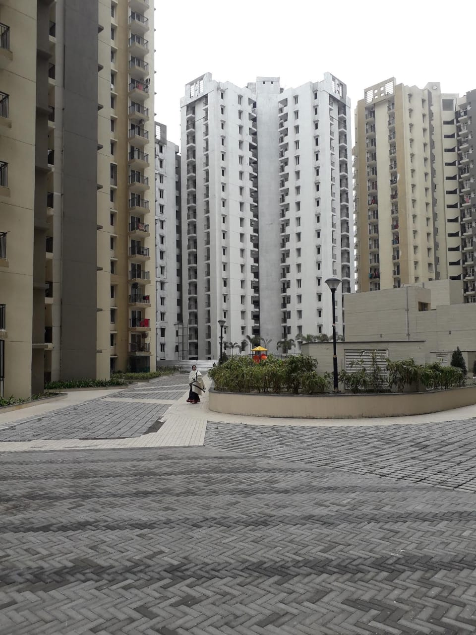 3 BHK Apartment For Rent in Spring Meadows