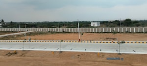 Plot Area in  Plot at Panjappur – for Sale