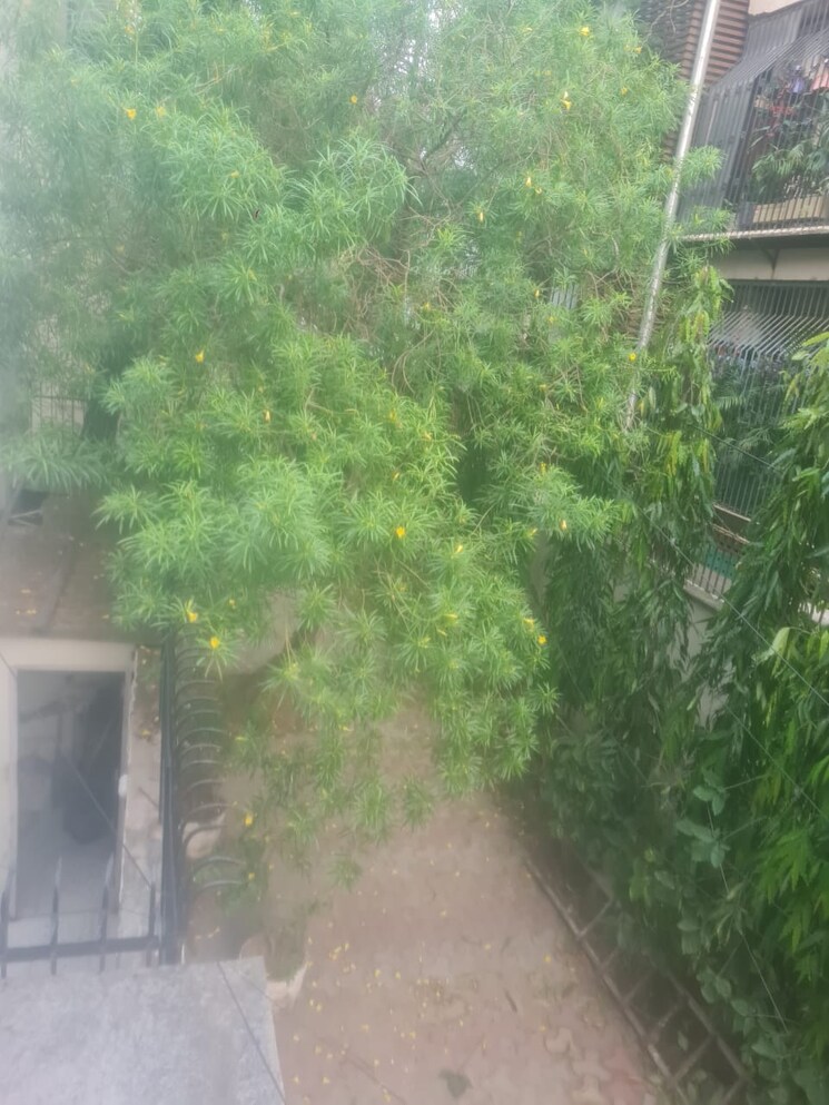 Garden, safdarjung development area 2 Bedroom 200 Sq.Yd. Builder Floor In Safdarjung Development Area Delhi 8682463