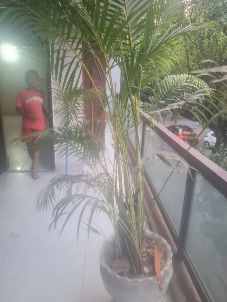 Balcony, safdarjung development area 2 Bedroom 200 Sq.Yd. Builder Floor In Safdarjung Development Area Delhi 8682463