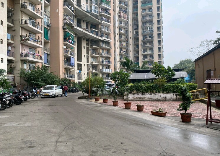 Exterior View, amrapali-pan-oasis 2 Bedroom 1125 Sq.Ft. Apartment In Sector 70 Noida 8682501