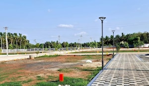  Plot – Garden View at Panjappur - for Sale