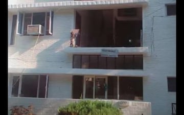 2 BHK Independent House For Rent in Sector 37