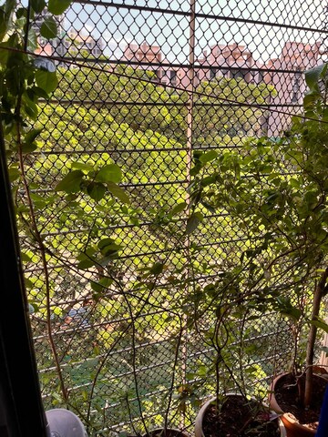 Balcony in 2 BHK Apartment at Shree Shashwat CHS, Mira Road – for Rent