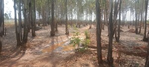 Plot Area in  Land at Kuduragere – for Sale