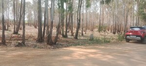  Land For Sale in Kuduragere