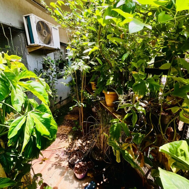 Exterior View, paranjape-blue-ridge 3 Bedroom 1320 Sq.Ft. Builder Floor In Hinjewadi Pune 8683227