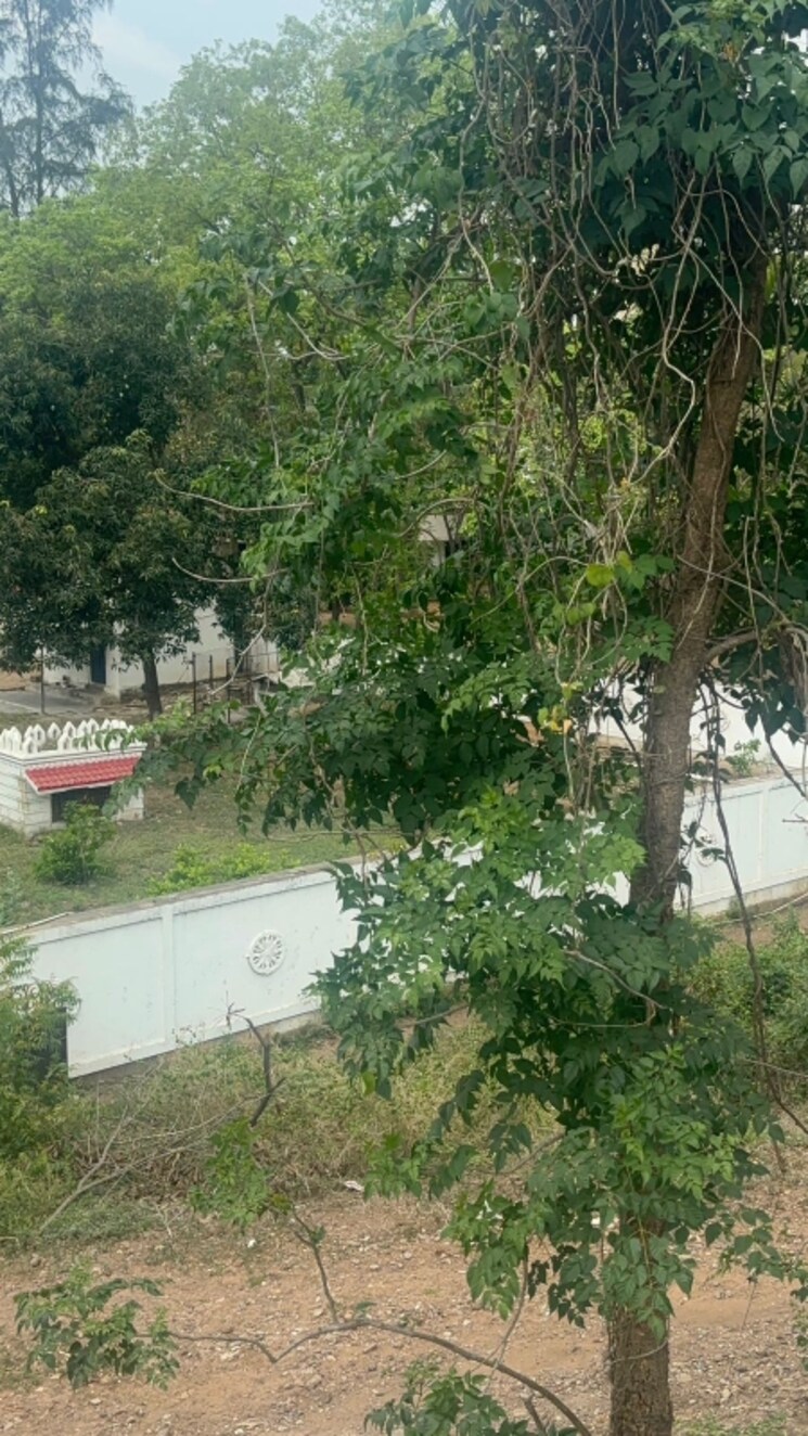 Exterior View, tadepalli  1780 Sq.Yd. Plot In Tadepalli Vijayawada 8683346