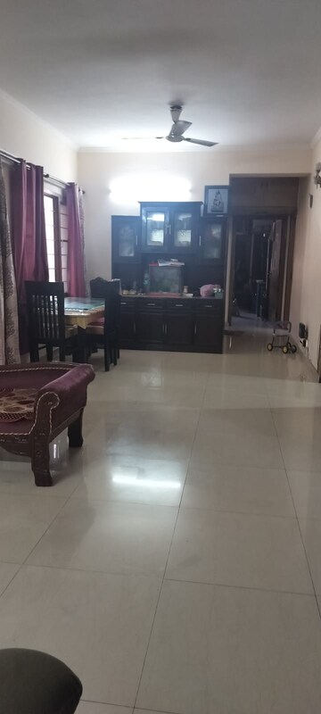 Living Room in 3 BHK Apartment at Sam India Palm Grove Apartments, Sector 50 – for Rent