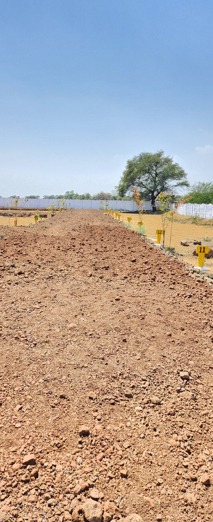 undefined, jabalpur cantt  1600 Sq.Ft. Plot In Jabalpur Cantt Jabalpur 8683424