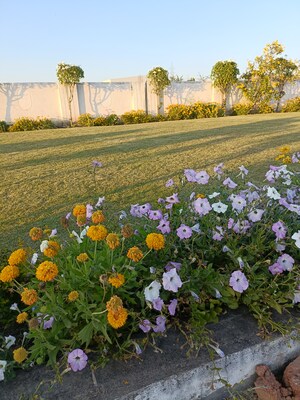  Plot For Sale in Ringnodiya