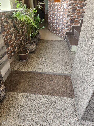 Studio Apartment – Exterior View View at RWA Qutab Enclave, Katwaria Sarai - for Rent