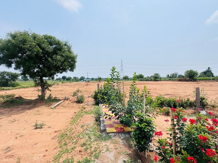 Garden, shadnagar  120 Sq.Yd. Plot In Shadnagar Hyderabad 8683852