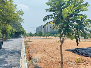 Plot Area in  Plot at Yelahanka – for Sale