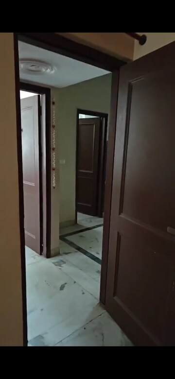 Building Lobby in 2.5 BHK Builder Floor at Sector 21d – for Rent