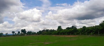 Plot Area in  Plot at Bhauwala – for Sale