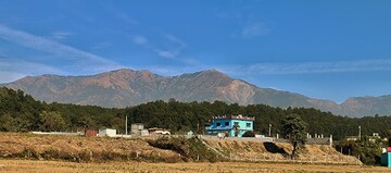 Plot Area in  Plot at Bhauwala – for Sale