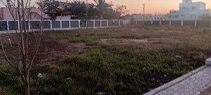 Plot Area in  Plot at Allithurai – for Sale