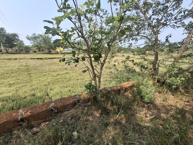 Exterior View, madanpur 2.5 Bedroom 1378 Sq.Ft. Apartment In Madanpur Bhubaneswar 8684040