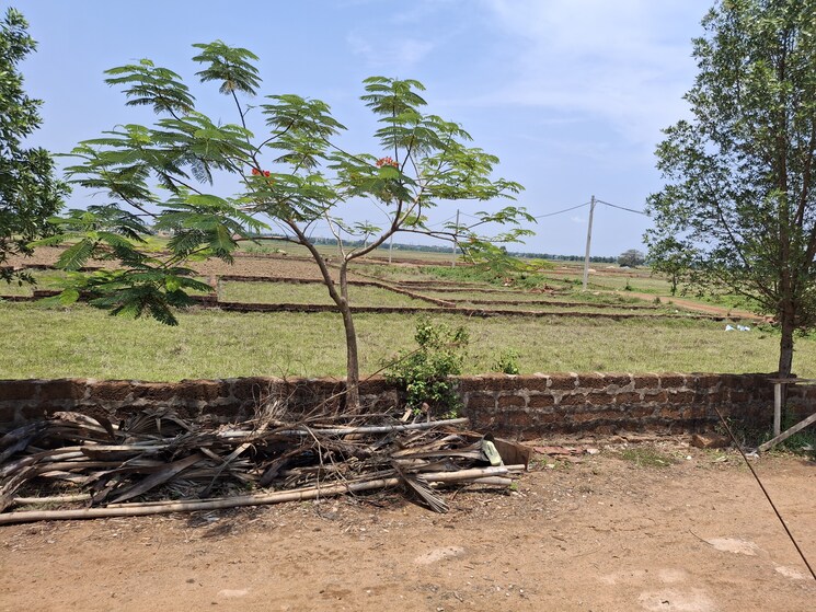 Exterior View, madanpur 2.5 Bedroom 1378 Sq.Ft. Apartment In Madanpur Bhubaneswar 8684040